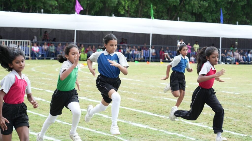 football turf in wayanad